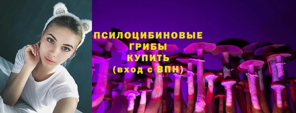 скорость Алексин