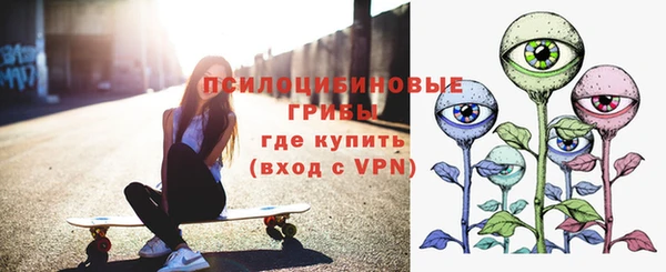 apvp Ростов