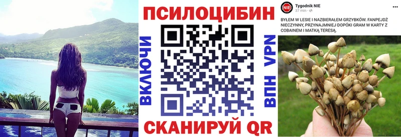 нарко площадка как зайти  Лысьва  Псилоцибиновые грибы прущие грибы 