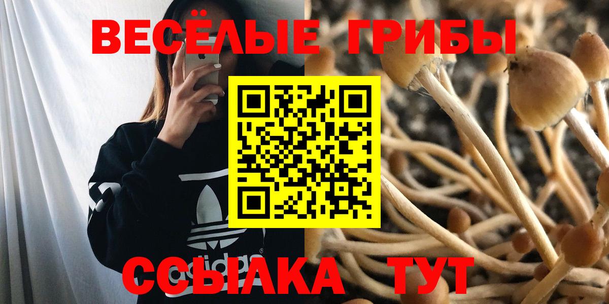 Псилоцибиновые грибы мицелий Лысьва